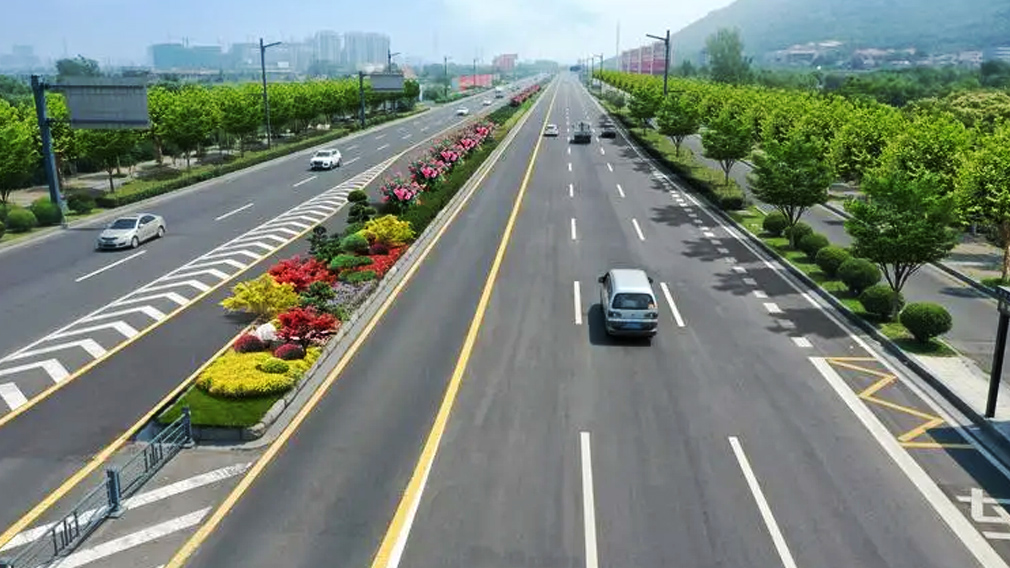看佳智苗圃如何用绿化植物为贵州晴隆县城东观区一号道路打造绿色长廊